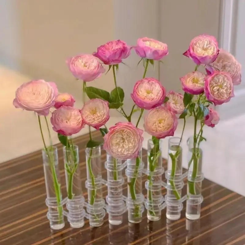 

Test Tube Glass Vase Insertion Type Decorative Flower Rack Hydroponic Flower Pot Combination Vase Office Living Room Decoration
