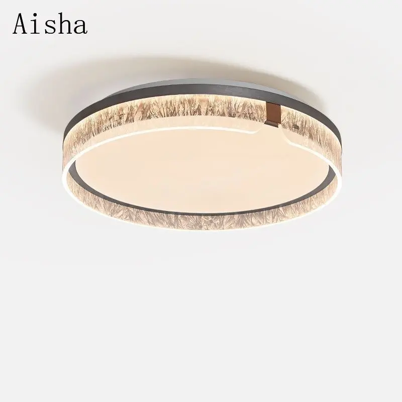 Minimalist Living Ceiling Light Eye Protection Circular LED Ceiling Lamp Above The Living Room Table Lamp Salon