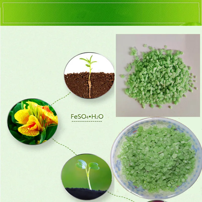50g-1KG Ferrous Sulfate Flower Fertilizer Soil Improvement Acid Rose Rose Camellia Green Laurel Orchid Yellow Leaf Fertilizer