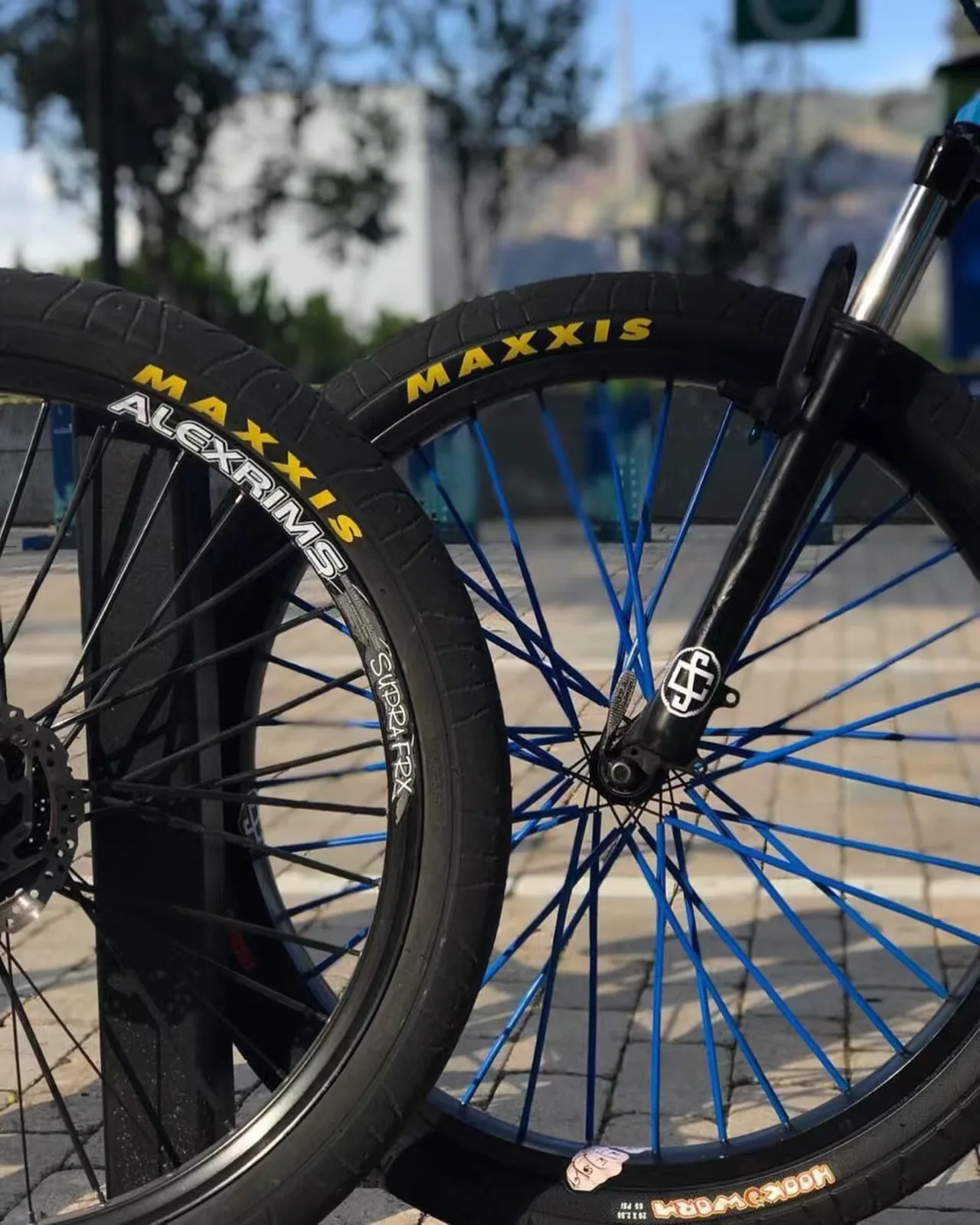 MAXXIS Hookworm 26 X 2.5 Fahrradreifen BMX Drahtreifen für Street, Park, Vert, Flatland in den Größen 26, 27.5 oder 29 Zoll – Detail 10