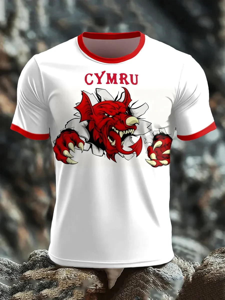 Summer 2027 Best-selling Men's Welsh Football Training Shirt with 3D Print, Breathable and Moisture-Wicking Family Style Top