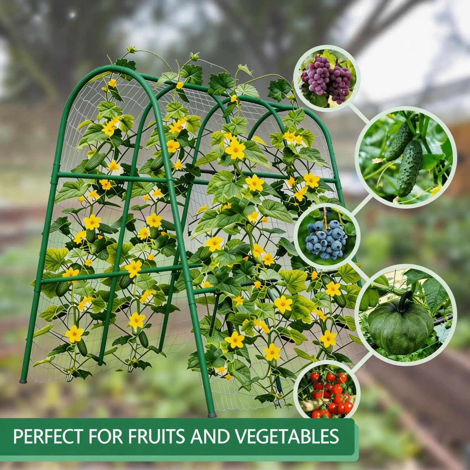 Heavy-Duty Metal Garden Arch Trellis – Rust-Resistant Plant Support for Large Vining Vegetables, Ideal for Cucumbers, Melons, Vertical Growing – Easy Assembly