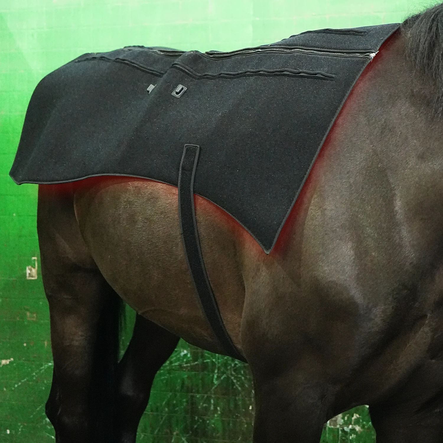 2023 New Handheld Equine Red Light Therapy Head Red Light Infrared Light Therapy Horse Relieve Fatigue Device