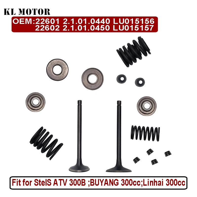

Valve Rebuild Kit For Chironex Bandito 300 Xingyue GS Moon 260 ST260 Asun 300 Daymak Grunt 300 ZMC ATV 2.1.01.0440 LU015156