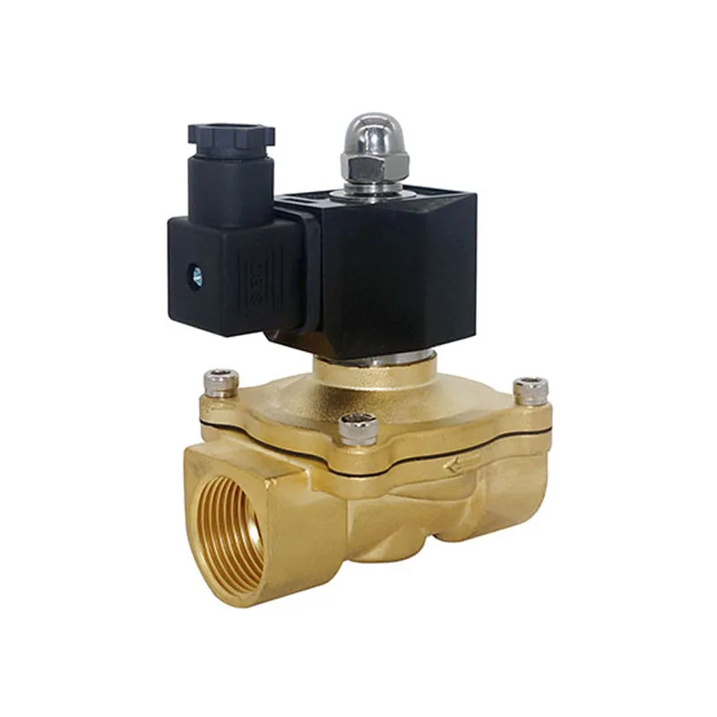 Factory Hot Sale HANUMAN 2W160-15 200-20 250-25 350-35 400-40 500-50 Brass Body NC G3/8 G2 Inch 220V 0.7MPa Air Water Oil Contro