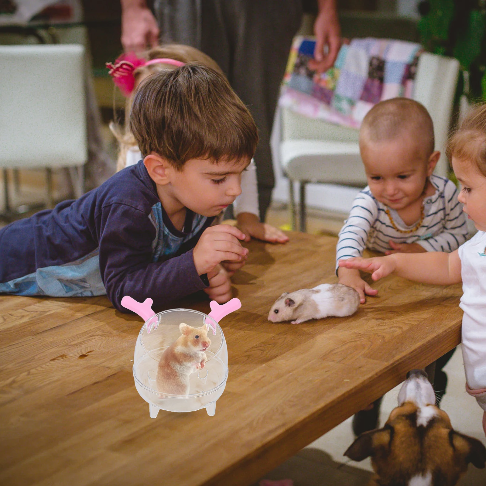 

Clear Acrylic Hamster Sand Bath Box Toilet Training Bathing Combo for Small Animals Guinea Pigs Rabbits Chinchillas Multi