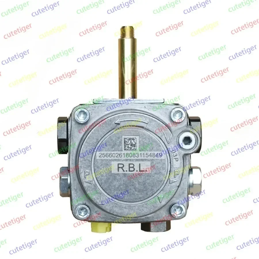 Code 3007800 G3 5 10 20 Fuel pump diesel burner accessories Riallo RIELLO dedicated RBL