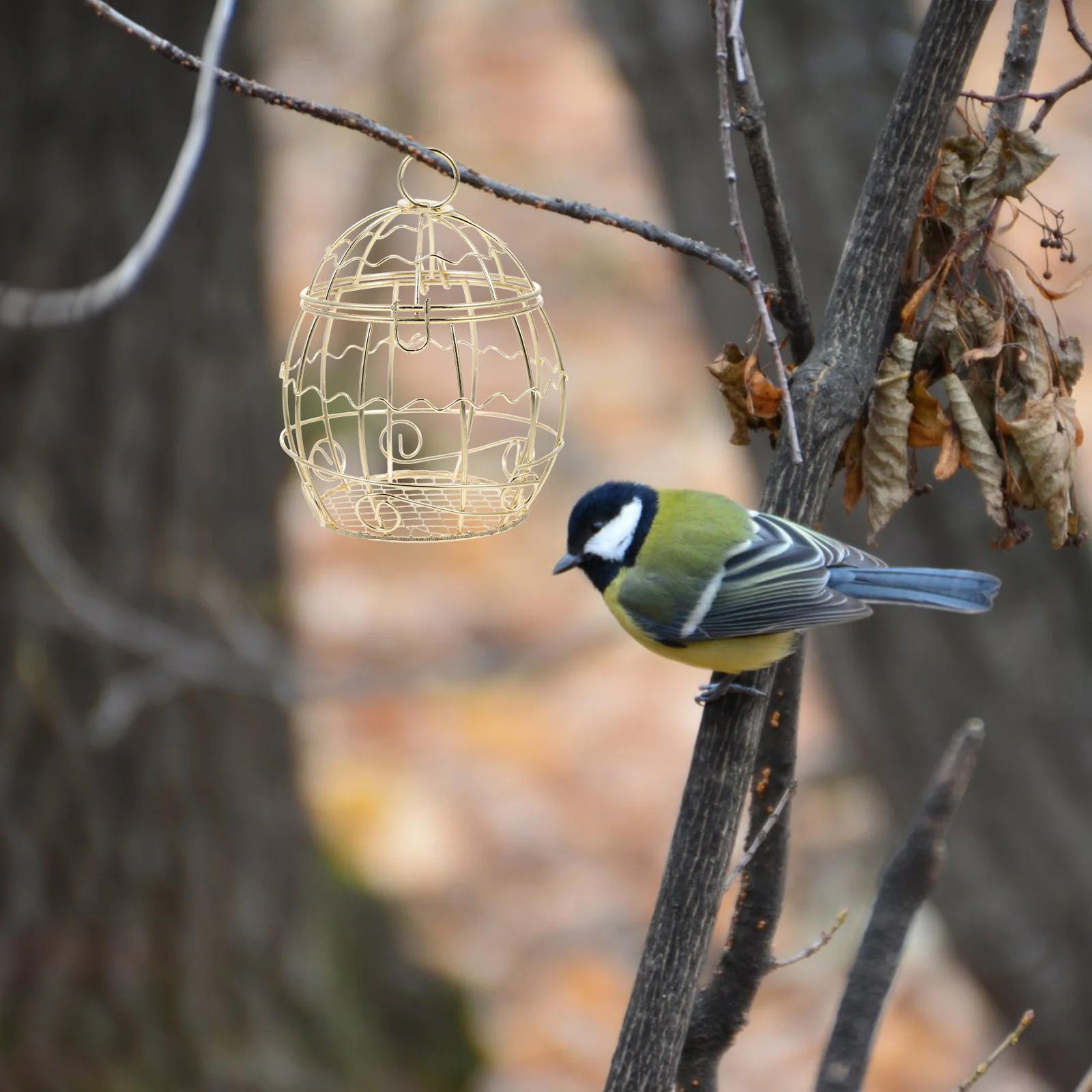 

3Pcs Bird Suet Ball Feeder Hanging Iron Wire Simple Creative Design Outdoor Garden Yard Balcony Wild Bird Feeding Basket Holder