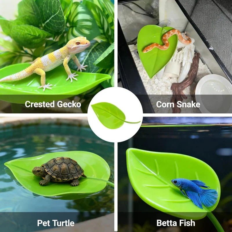 

Защита дворец, украшение ящерицы, солнечная платформа, создание пейзажей в альпинистском аквариуме для домашних животных, с присосками.