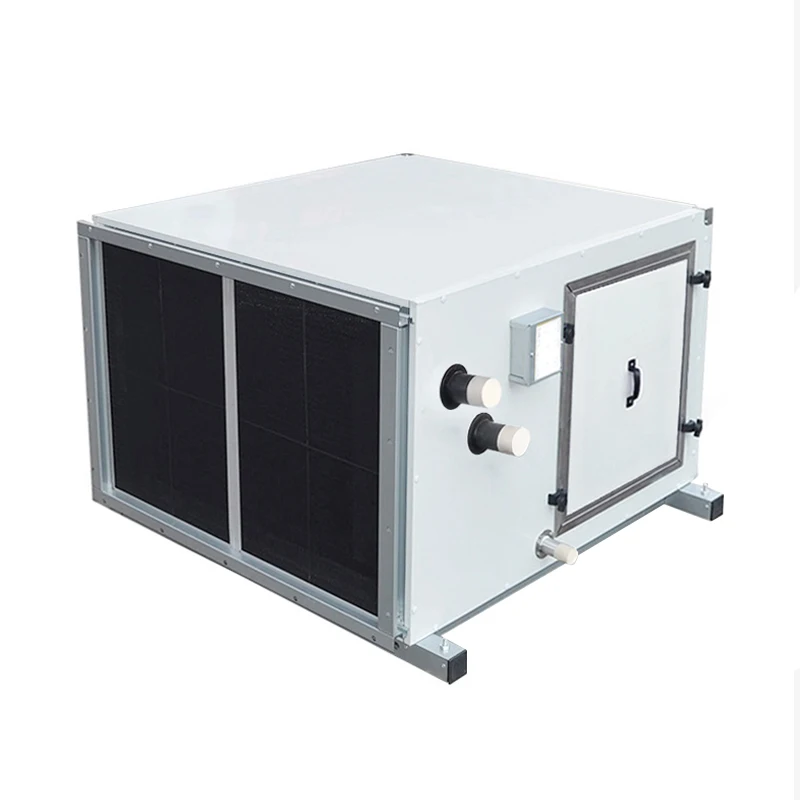 Home AHU Ceiling Installation Small Air Handling Unit Type Factory HVAC System