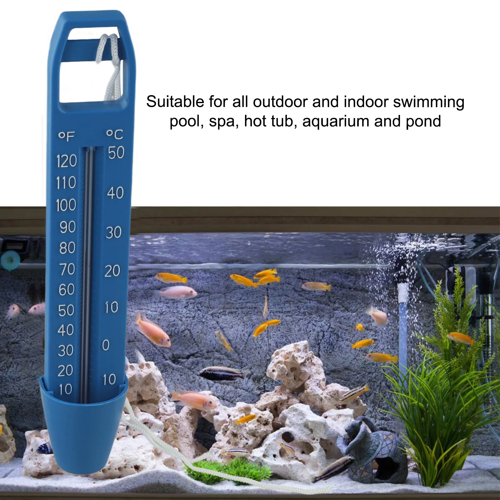 ميزان حرارة عائم من البلاستيك، حمام سباحة محمول، حمامات سباحة، جهاز اختبار مياه، ميزان حرارة عائم، اسم المنتج