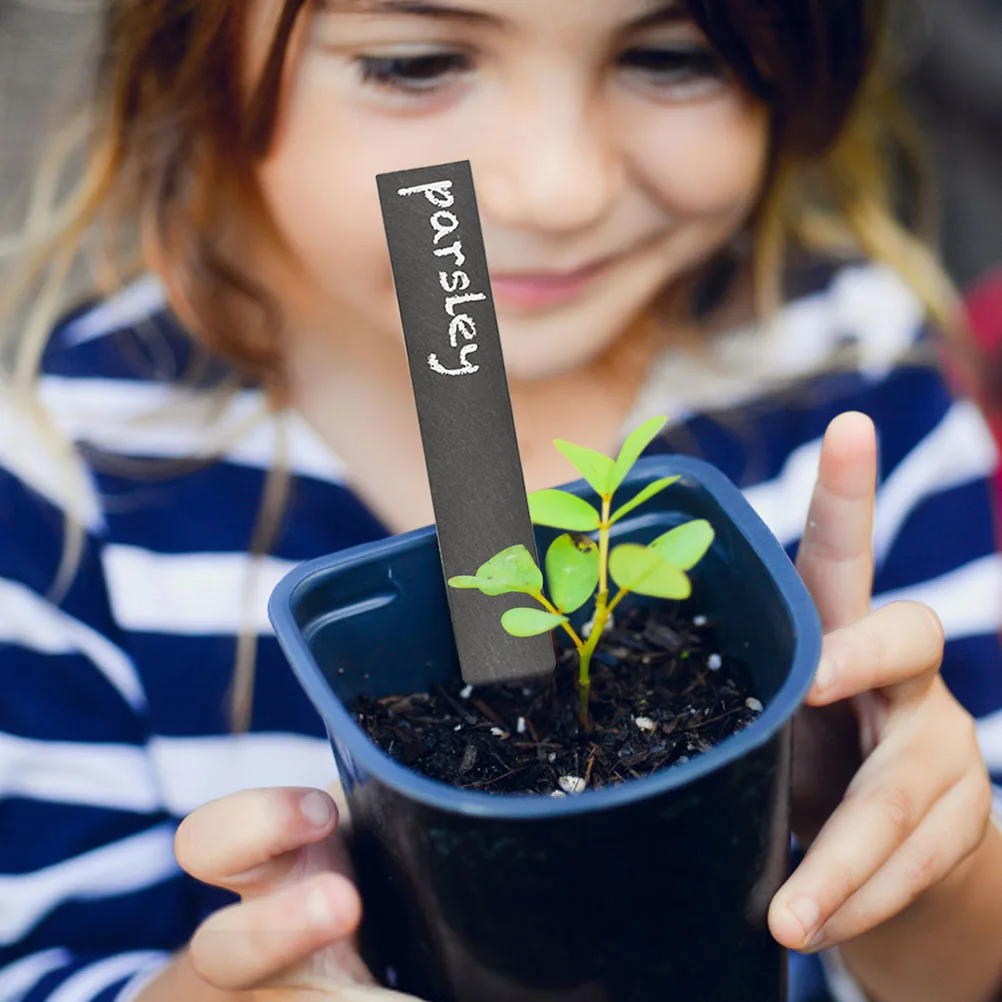 

12pcs Plant Labels Garden Ornaments Stone Nursery Vegetable Marker Durable Safe Eco Friendly Gardening Gifts Practical