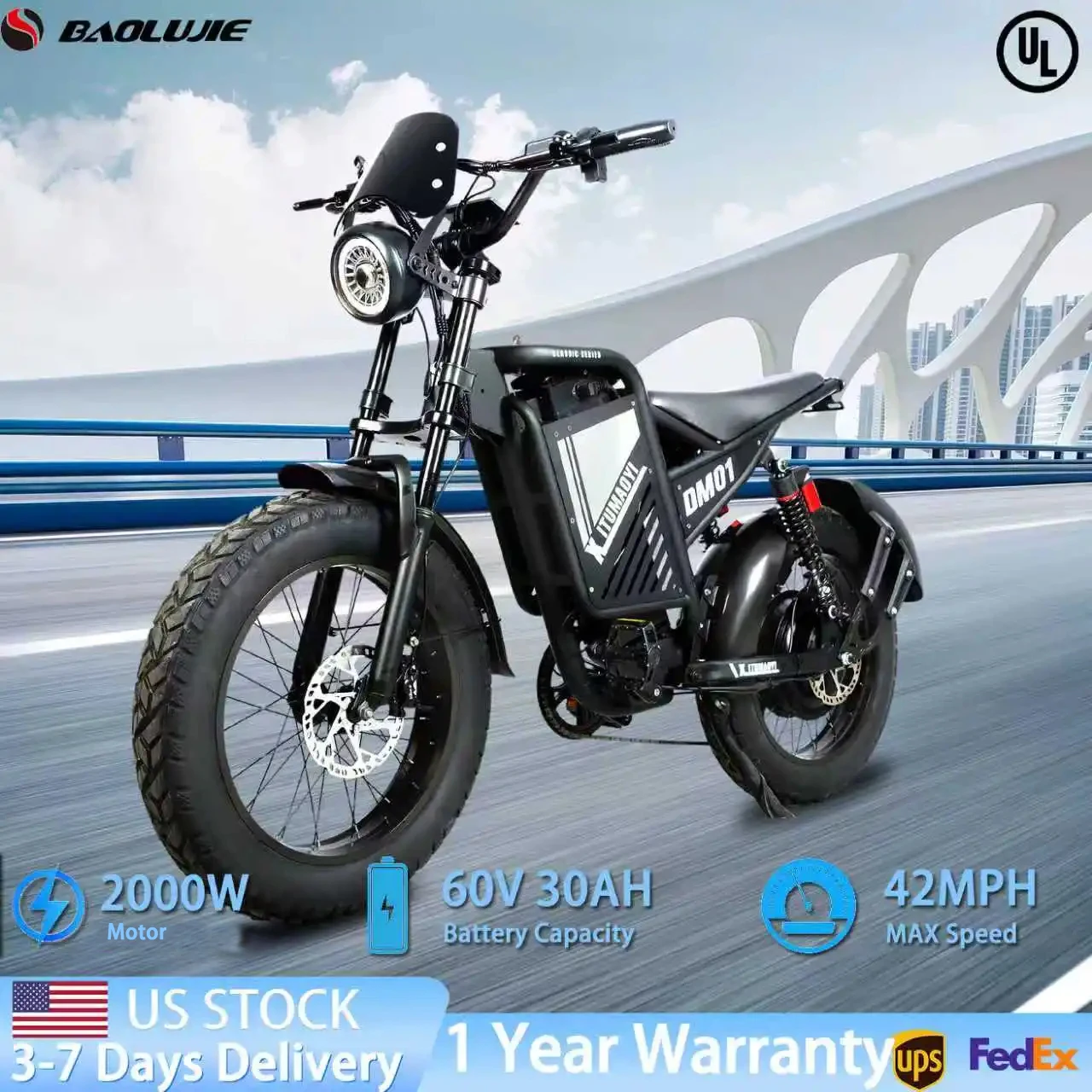 

BAOLUJIE DM01 Motor Electric Bicycle，E-Bike Electric Motorcycle for Adult，60V 30AH Battery，42 MPH Electric Bike【1 Year Warranty】