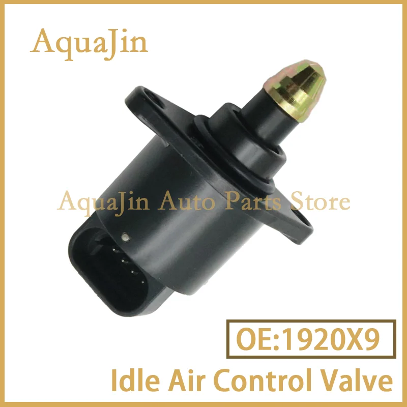 

1920X9 Idle Air Control Valve IAC IACV For Citroen Jumper Kasten Fiat Peugeot 306 406 605 Boxer Bus Kasten Xantia C95197 FDB1013