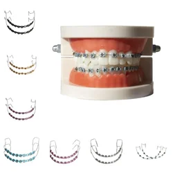 1 Pair of Oral Metal Bracket Model Colorful Fashion Oral Braces Decorative Orthodontic Bracket Denture Model
