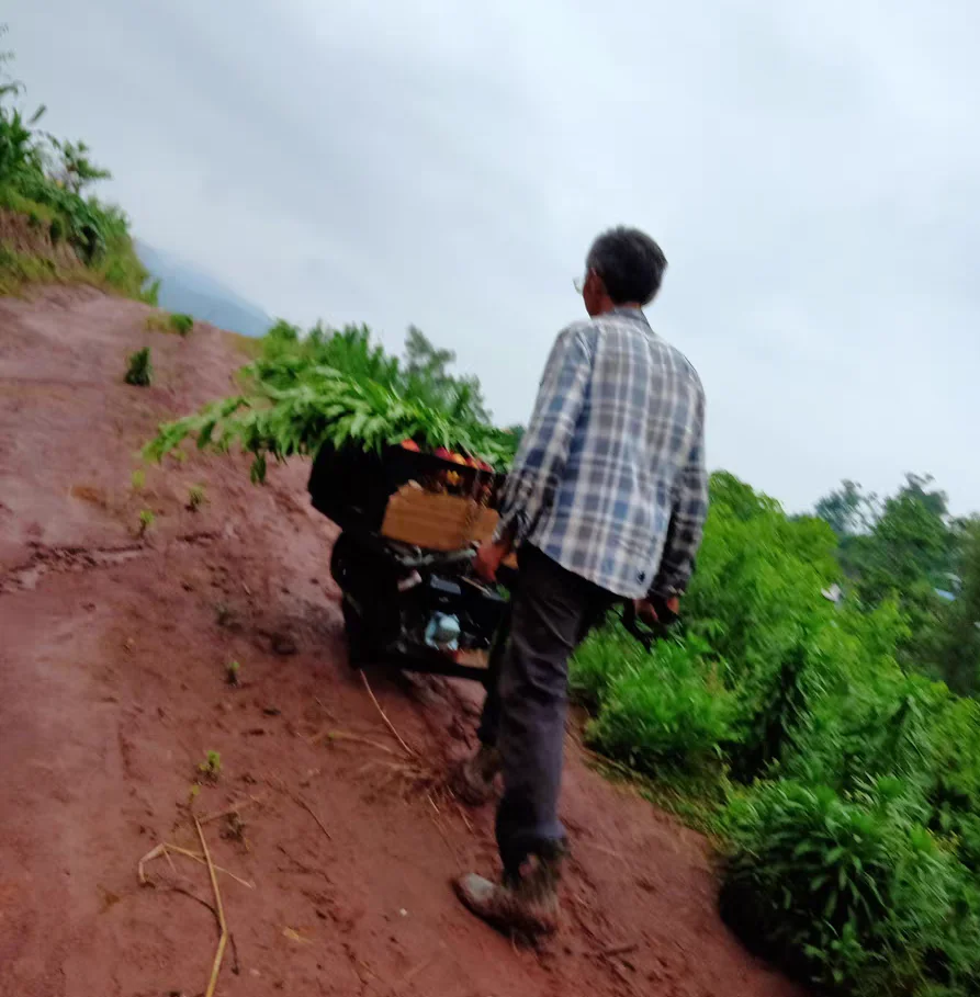 

Agricultural Electric Wheelbarrow Climbing Mountain Unicycle Orchard Transport Cart Handling Single Wheel Carrier