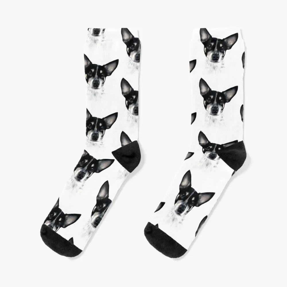 Rat Terrier Socks men cotton high quality summer Running soccer anti-slip Socks For Men Women's