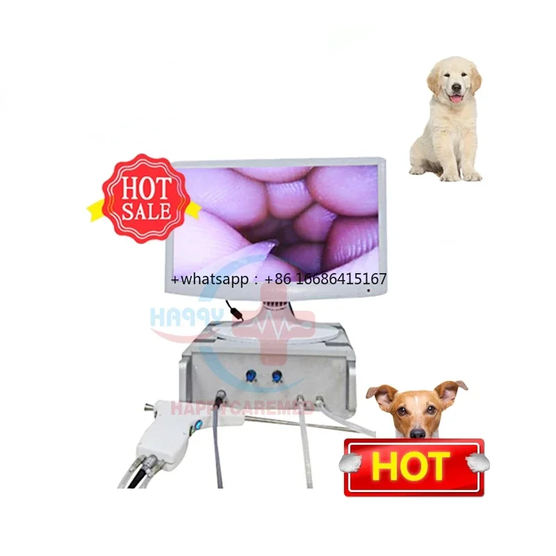 HC-R058 TCI Desktop Veterinary Transcervical Ai Kit Dogs Artificial Animal Insemination With