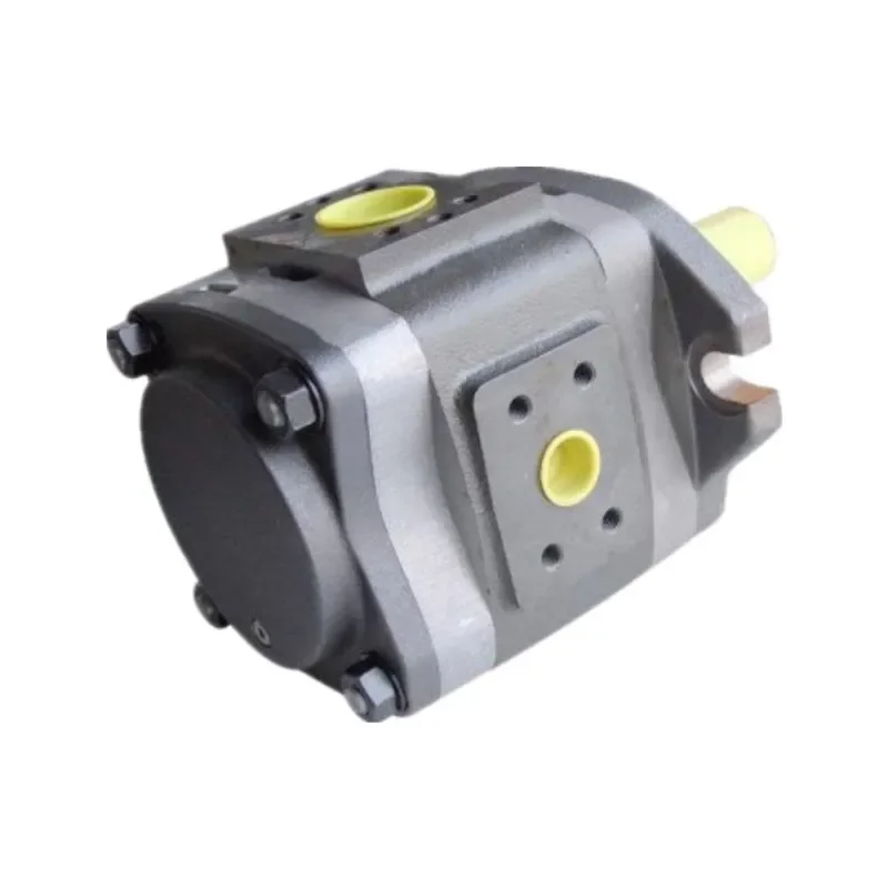 IPV7 IPV-7/6-160/125-111 Hydraulic Gear Pump Ipv High-Pressure Internal Gear Pump Ipv7-125 Ipv7-160 Ipv7-200 Ipv7-250