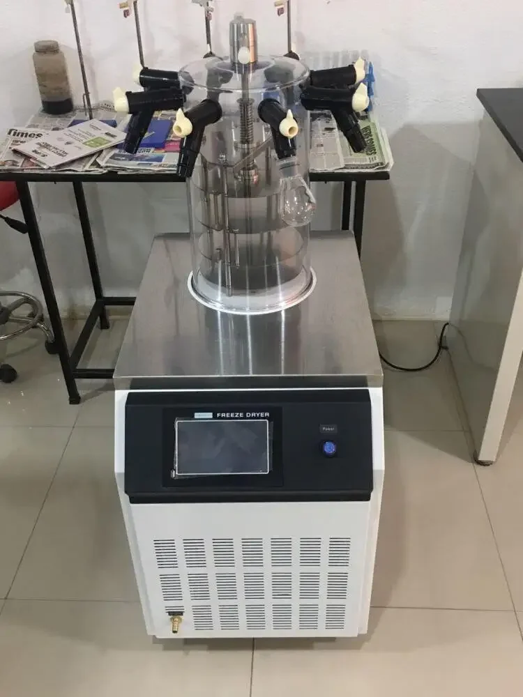 DW-10N  Laboratory Vacuum  Drying Machine Economic Lyophilizer  Dryer
