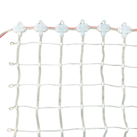 DC12V 50mm Pitch Addressable WS2811/WS2812B RGB Smart LED Pebble/Seed Flexible Matrix Grid Screen Lights P67 Clear Wire Flexible