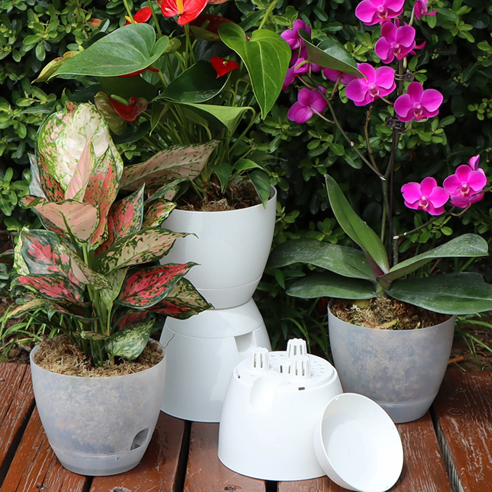 

Self Absorbing Flowerpot Simple Succulent Plant Planting Basin Lazy Green Plant Root Control Flower Pot Gardening Supplies 6.02"