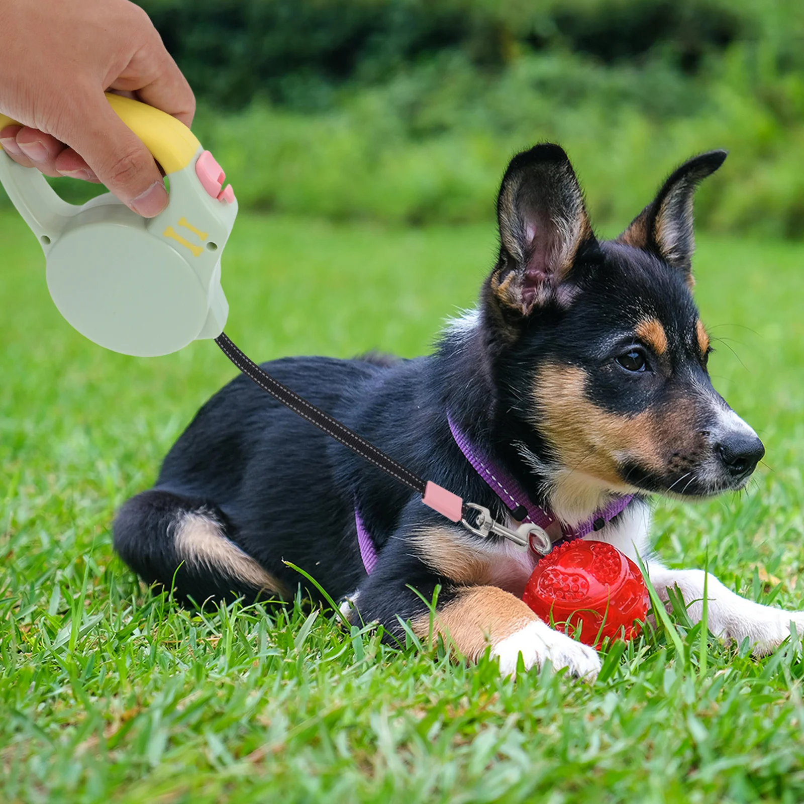 

Heavy Duty Retractable Dog Leash Small Medium Dogs Automatic Outdoor Walking Long Lead Portable Pet Leash Leashes
