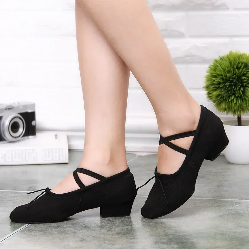 Latin Dance Shoes for Woman Girls Ladies Practise Teachers Shoes Graffiti Ballroom Modern Tango Jazz Dancing Shoes