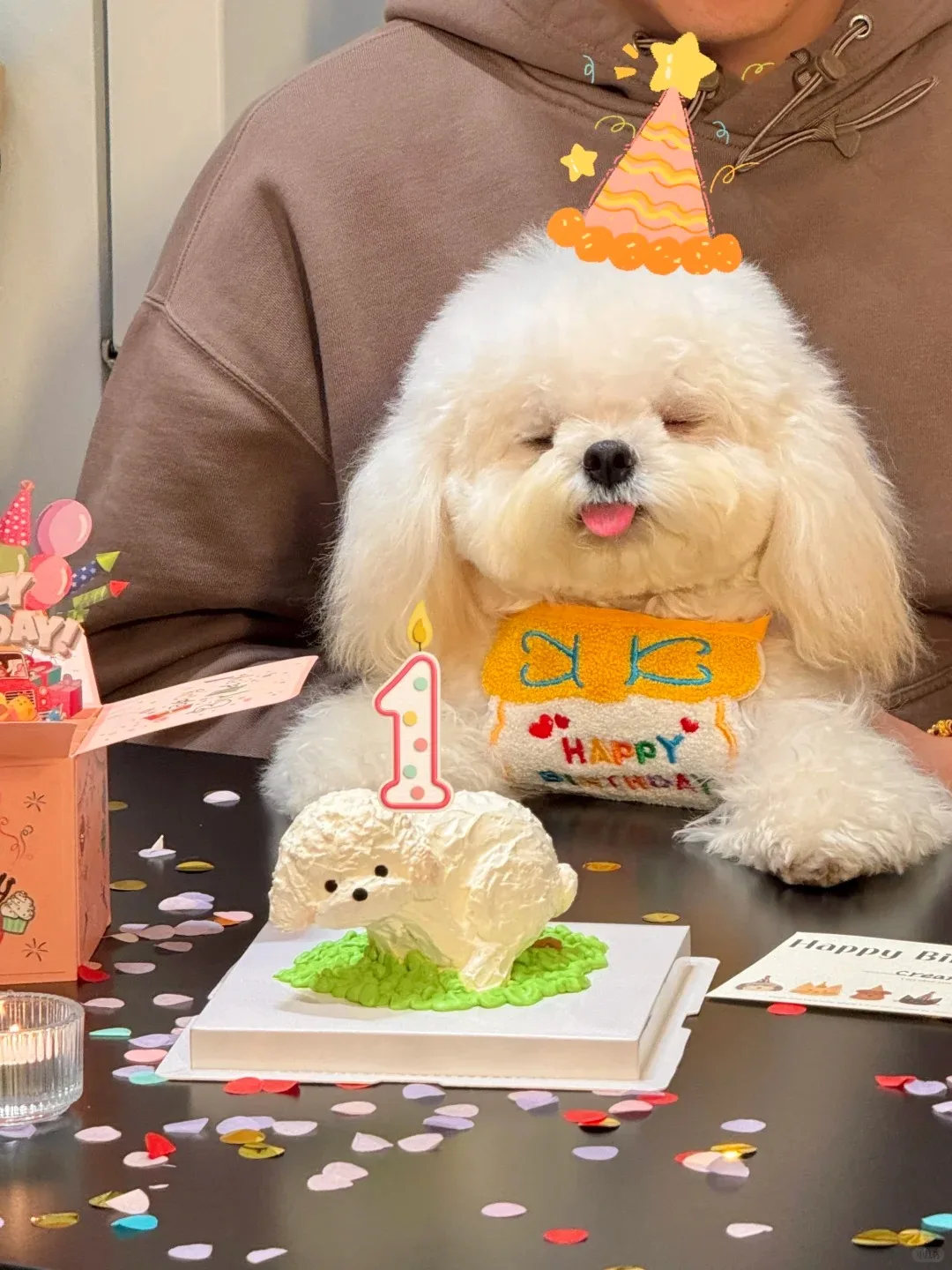 Thumbnail 3 - #81 Discounted Cotton Bandana Scarfs Worth Buying