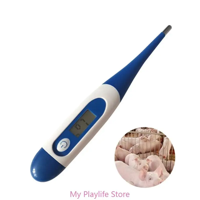 Versatile Temperature Gauges for Pets A Must Have for Veterinary Clinic Accurately Measure and Diagnose Pet Temperature