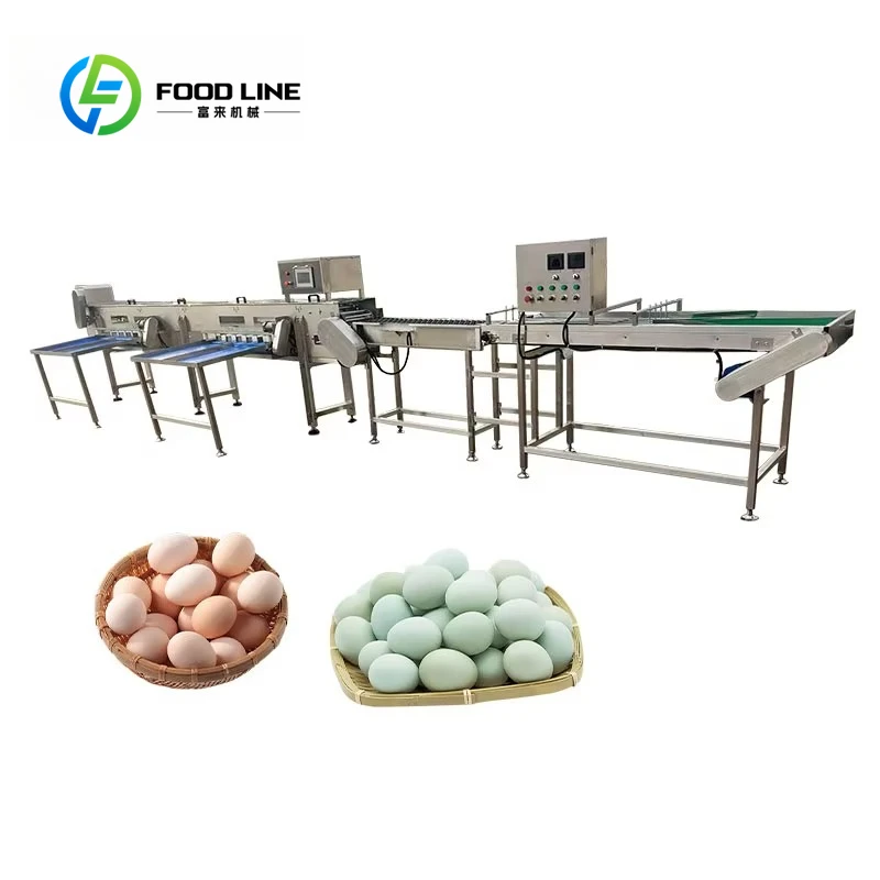 ex-factory price egg grading sorter