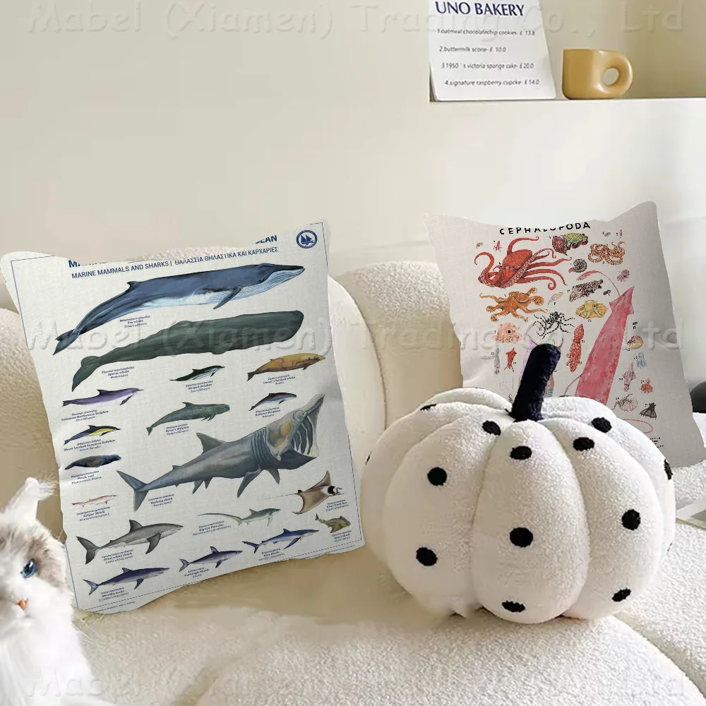 Abstract Marine Organisms Jellyfish Whale Squid Fishes Pillowcase Toon Gift Cushion Cover Bedroom Home Sofa Chair Seat Decor