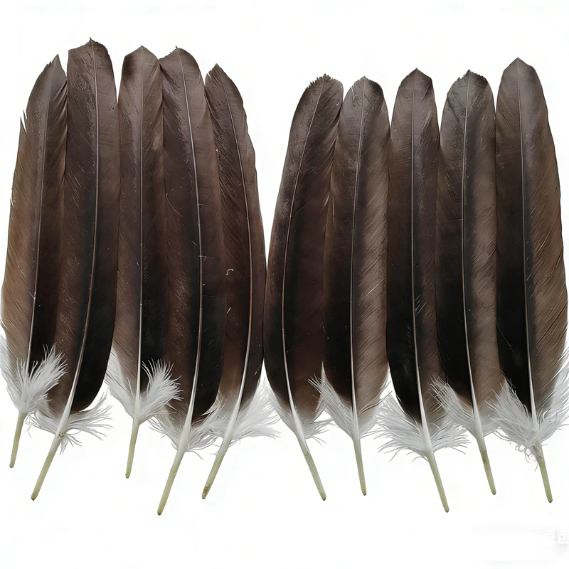 

Natural Eagle Feathers,10Pieces,40-50cm Long, Large Eagle Round Quill Feathers for Stage Performance,Carnival Accessories