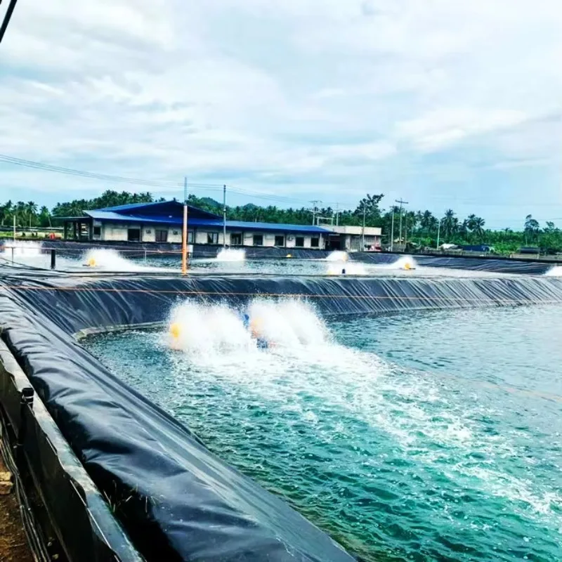 Custom HDPE Geomembrane Waterproof Sheet for Aquaculture Fish Pond Dam Reservoir Landfill and Mining Use Projects