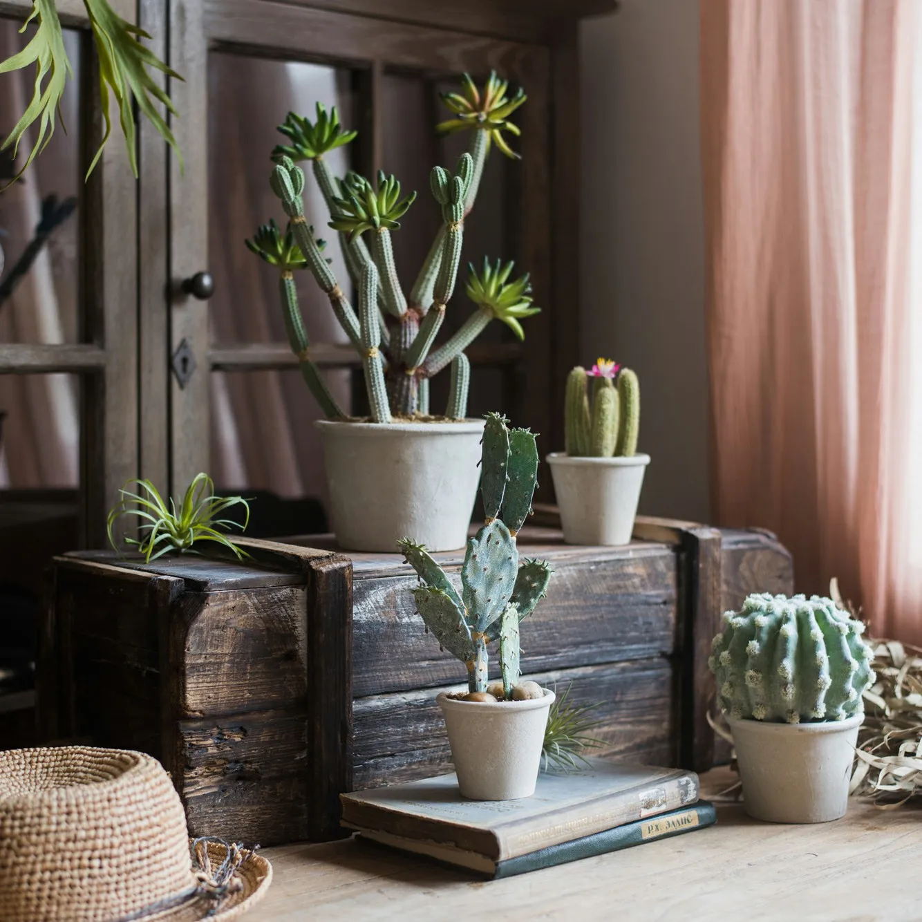 Plantas artificiales de Cactus bonsái, plantas falsas con maceta, adornos en maceta para sala de estar, dormitorio, accesorios para el hogar, decoración