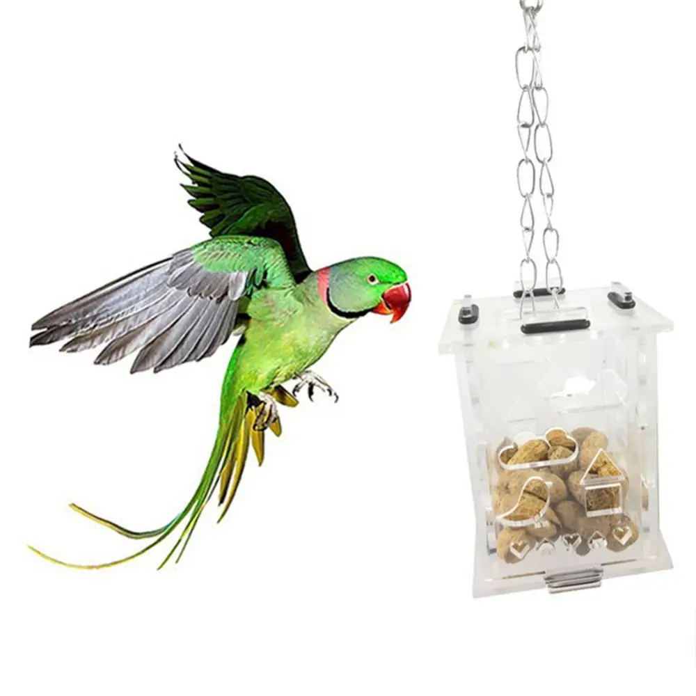 Parrots Foraging Toys Food Feeder Funny Clear Pet Bird Parrot Hanging Foraging Cage Food Snack Feeding Box Toy Bird Supplies