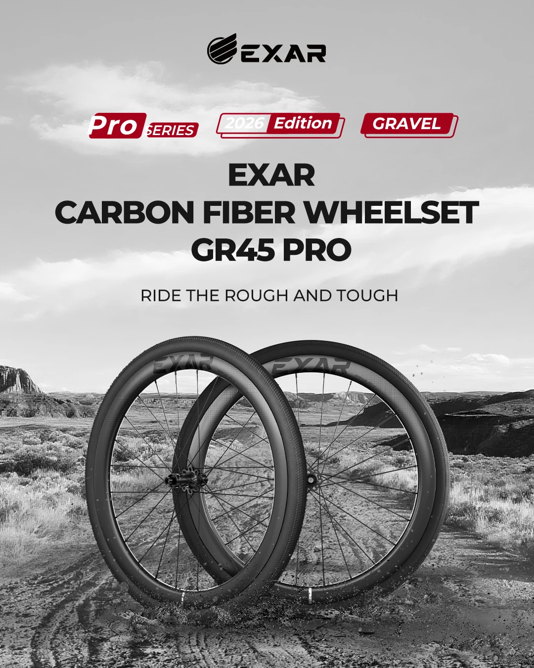 

EXAR Carbon Fiber Wheelset GR45 PRO Disc Brake for Gravel Flat Engagement Ratchet Lightweight Bike Wheels