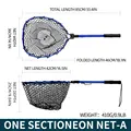 One sectioneon-A