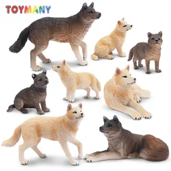 6Pcs Simulation Wolf Figures, Wildlife Animal Model Action Toys for Kids Children Gift Set, Mini Collectible Figurines