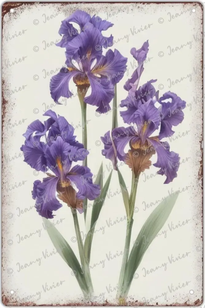 Purple Iris Tin Signs Vintage Botanical Art Iris Flower Wall Decor Shabby Chic Wall Decor French Decor Vintage Style Wall Sign W