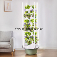 Good Price Commercial Garden Vertical Hydroponic System 20/28/36 Plants Pineapple Hydroponic Tower LED Grow