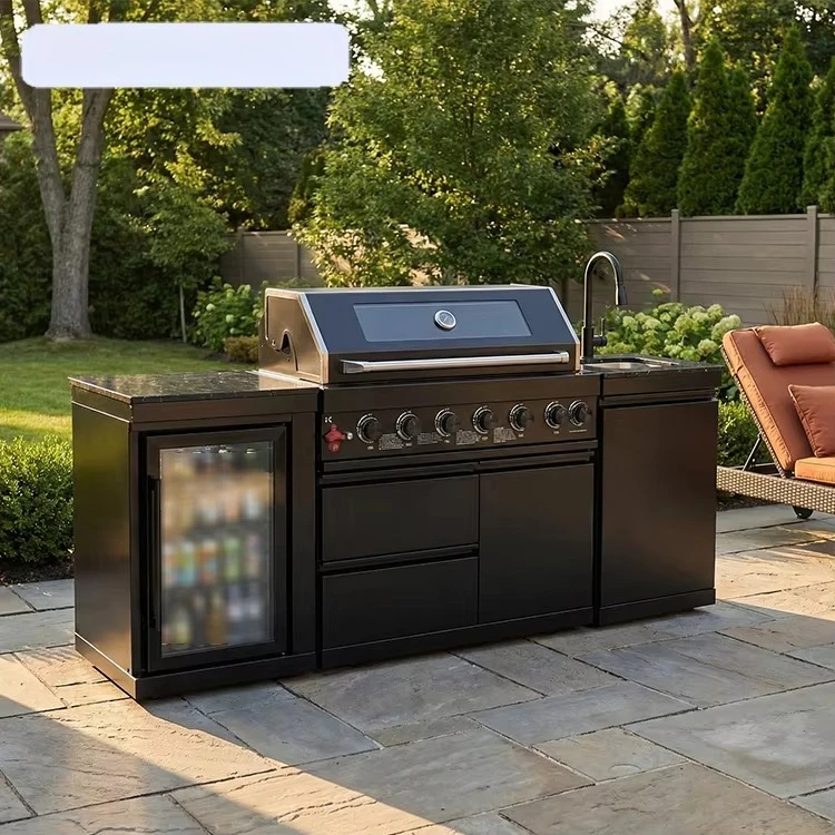 Custom 6-Burner Black Propane Grill, Free Collocation Outdoor BBQ Kitchen Pod for Backyard Garden