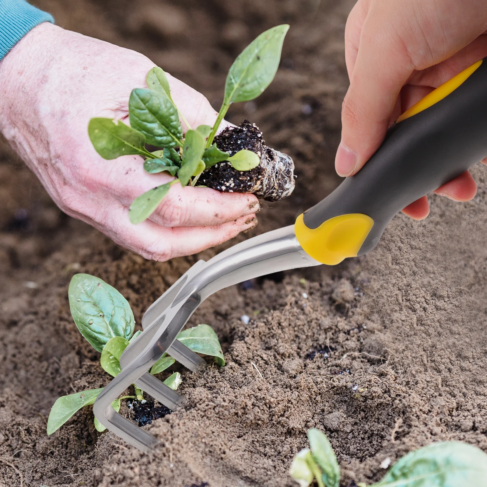 

Three Tooth Rake Stainless Steel Garden Hand Cultivator Lightweight Heavy Duty Weeder Digging Tiller Gardening Soil Loosener