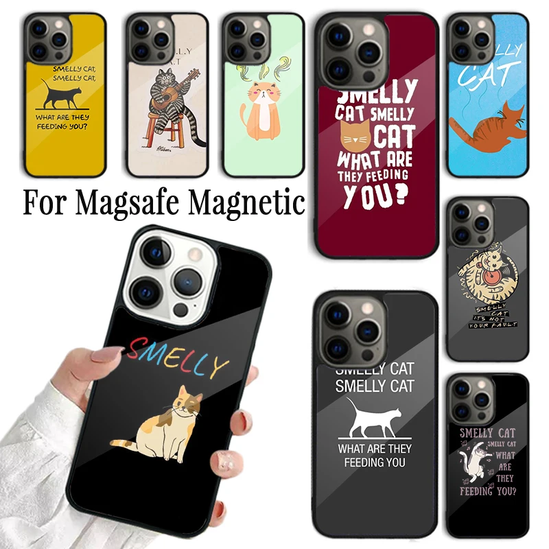 Phone Case For iPhone 16 15 14 13 12 11 Pro Max Plus Magsafe Magnetic Wireless Charging Cover FRIENDS TV SHOW PHOEBE SMELLY CAT