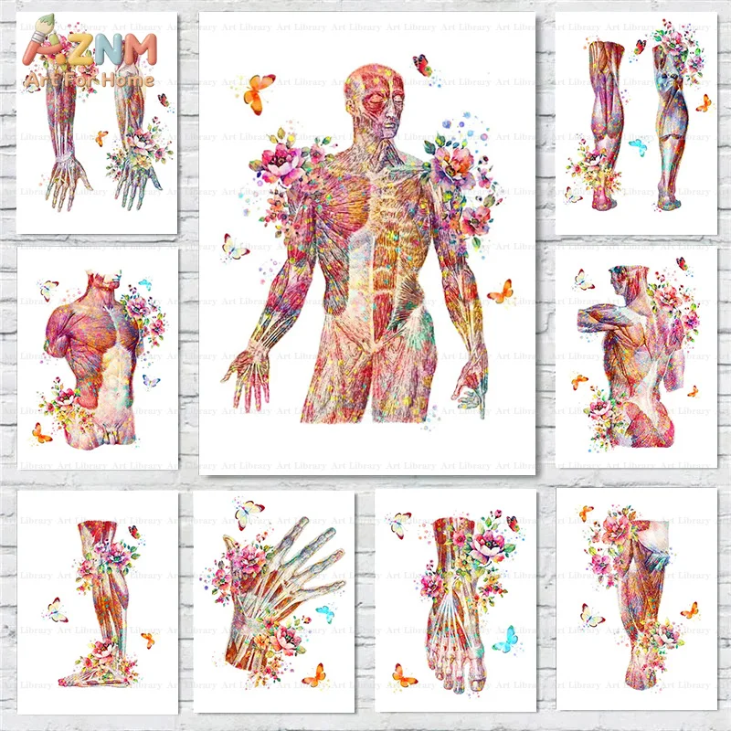 AZNM Frameless Canvas Poster Watercolor Human Muscle Anatomy Print, Floral Butterfly Body Structure Wall Art Picture for Medical