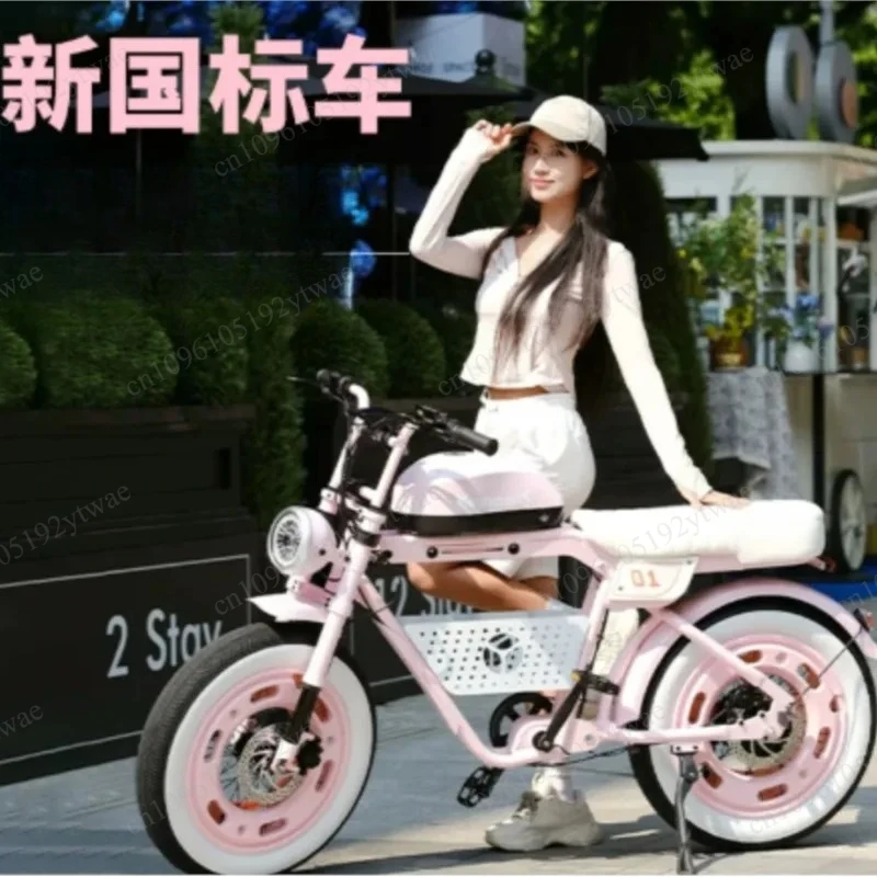 Foldable Retro Off-Road E-Bike, Electric Assist All Terrain Electric Bicycle for Outdoor Riding