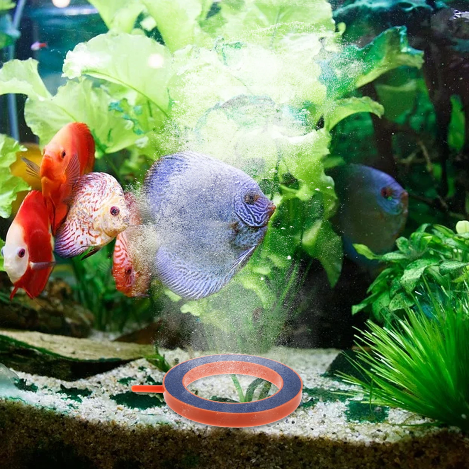 

2 Pcs Aerobic Pump Bubble Stone Fish Tank Aquarium Air Diffuser Bubbler Decorations for Diffusers