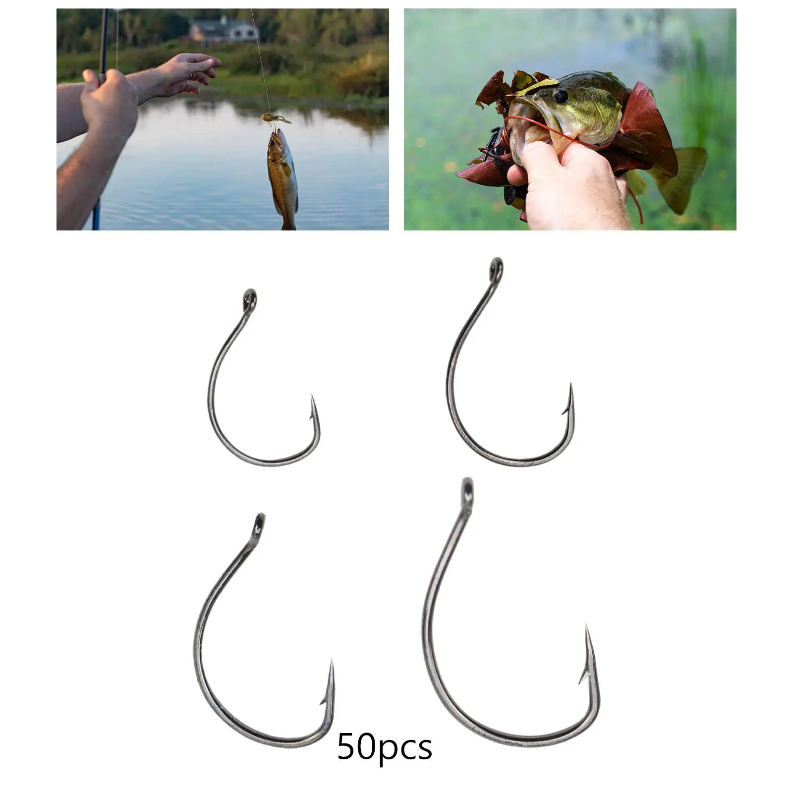 50x Fishing Hooks Set Circle Hooks Tools Gear Strong Outdoor Equipment Fishing Hooks Catfish Hooks for Fishing Catfish