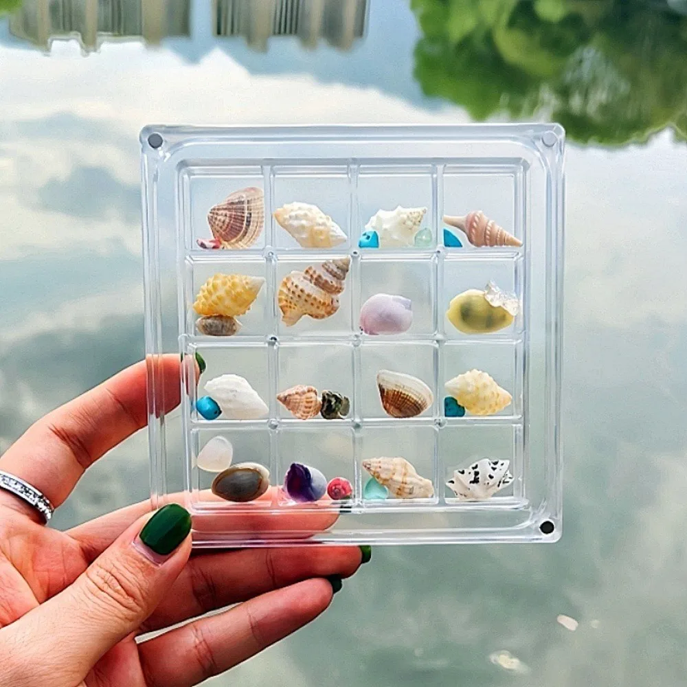 CANBOUN16-Grid Seashell Display Box Acrylic With Magnets Seashell Storage Box Durable Storage Display Organizer Box