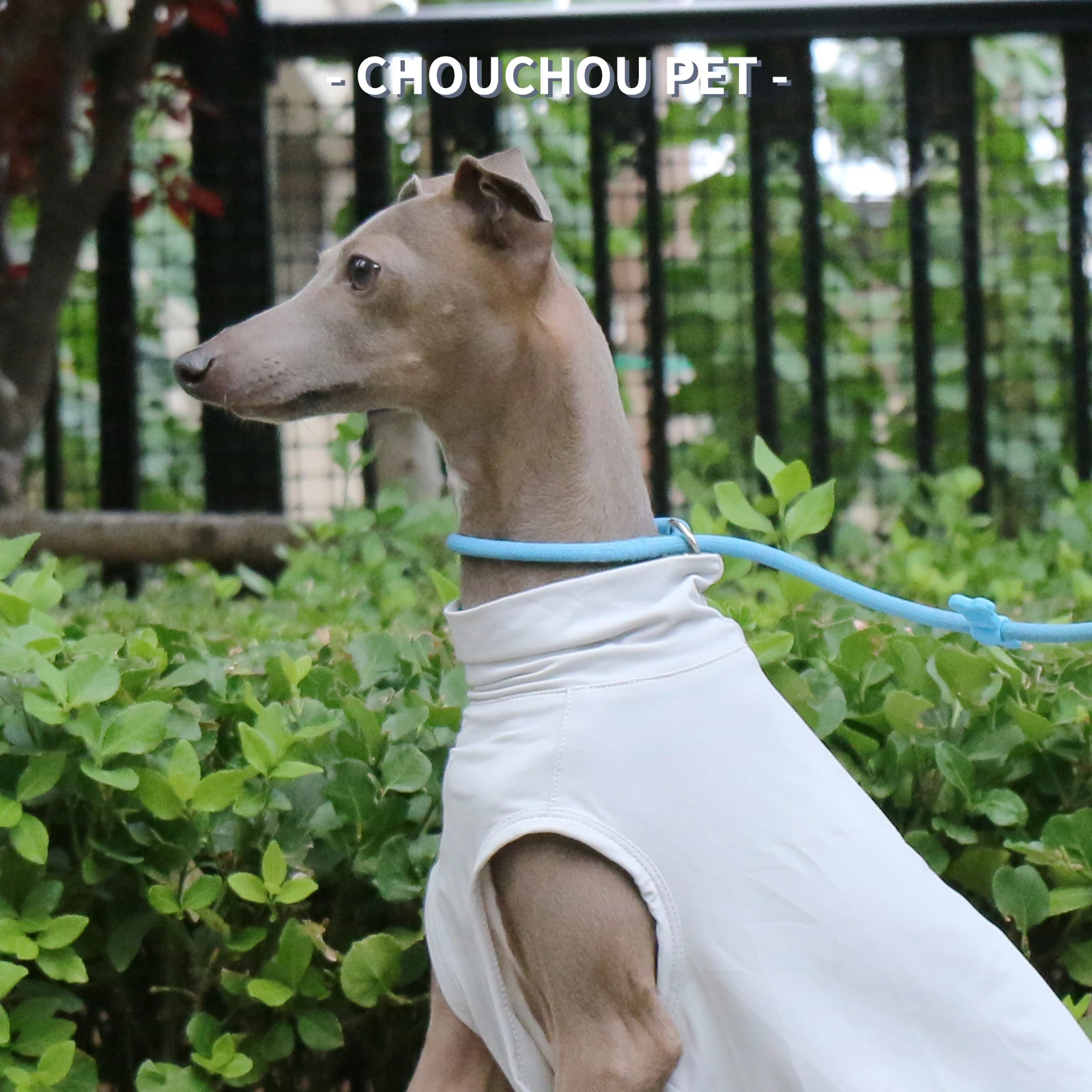 Letnia kamizelka chroniąca przed słońcem, uczucie lodu, włoska kamizelka outdoorowa Greyhound Whippet odpowiednia dla małych i średnich psów